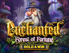 Enchanted Forest Of Fortune - Hold & Win