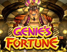 Genie's Fortune