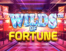 Wilds Of Fortune