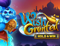 Wish Granted