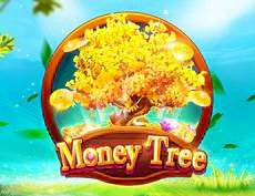 Money Tree