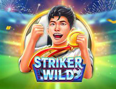 Striker Wild