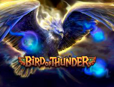 Bird of Thunder