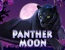 Panther Moon
