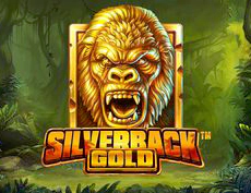 Silverback Gold