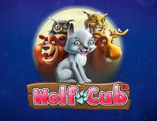 Wolf Cub