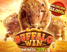 Buffalo Win