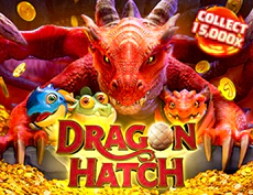 Dragon Hatch