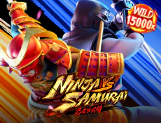 Ninja vs Samurai
