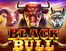 Black Bull