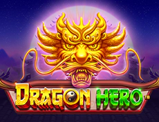 Dragon Hero