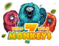 7 Monkeys