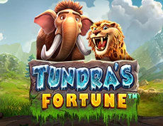 Tundra's Fortune