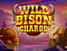 Wild Bison Charge