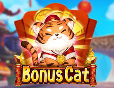 Bonus Cat