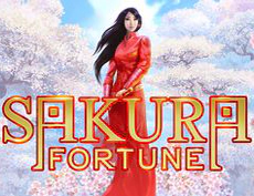 Sakura Fortune