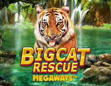 Big Cat Rescue Megaways