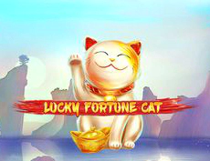 Lucky Fortune Cat