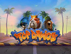 Top Dawg$